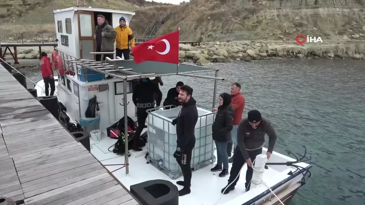 Çanakkale Savaşları’ndan kalma 109 yıllık ‘HMS Majestic’ batığına 400 ıstakoz salındı